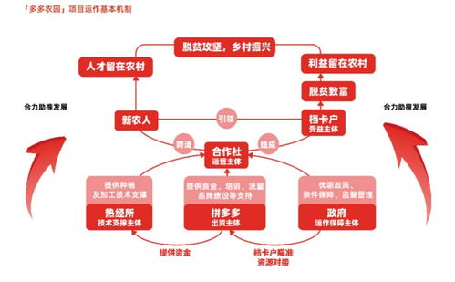 拼多多发布农产品上行发展报告, 电商助农,大有可为