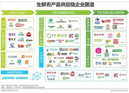 2020年中国生鲜农产品供应链研究报告 生鲜电商加快流通体系优化进程