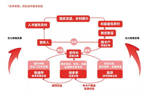 拼多多找到了 新出路 玺承电商资讯